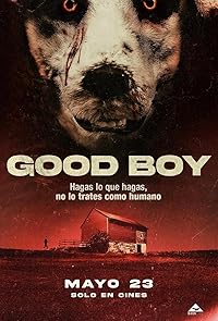 Good Boy 2022 Hindi Dubbed Norwegian Movie Download 480p 720p 1080p FilmyZilla