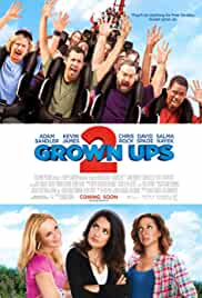Grown Ups 2 2013 Hindi Dubbed 480p FilmyZilla