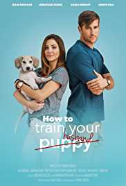 How To Train Your Husband 2017 Hindi Dubbed FilmyZilla