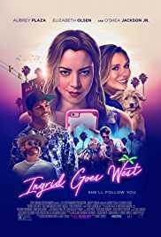 Ingrid Goes West 2017 Dual Audio Hindi 480p 300MB FilmyZilla
