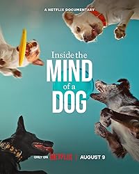 Inside the Mind of a Dog Hindi Dubbed English Movie Download 480p 720p 1080p FilmyZilla
