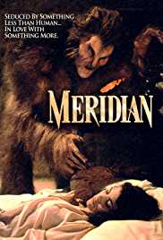 Meridian 1990 Dual Audio Hindi 480p 300MB FilmyZilla