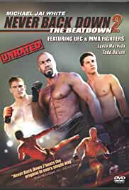 Never Back Down 2 The Beatdown 2011 Dual Audio Hindi 480p FilmyZilla