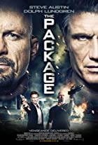 The Package 2013 Hindi Dubbed 480p 720p FilmyZilla