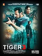 Tiger 3 2023 Movie Download 480p 720p 1080p 2160p 4K FilmyZilla